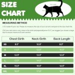 Dinosaur Costume for Sphynx Cats: Soft Jumper