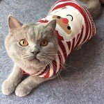 Cozy Santa Cat Sweater for Winter Wear