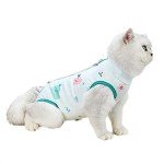 Soft Cat Recovery Suit for Small Cats
