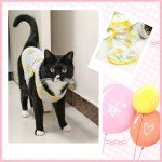 Andiker 3-Piece Cute Cat Clothes Set