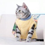 Cozy Yellow Cat Sweater for Small to Medium Cats