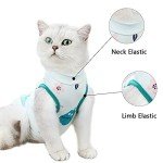 Soft Cat Recovery Suit for Small Cats