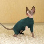 Soft Cat Pajamas and Sweaters for Sphynx