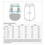 Cozy Santa Cat Sweater for Winter Wear