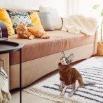 Coral Sphinx Warm Vest for Hairless Cats