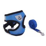 Comfortable No-Pull Cat Harness and Leash Set