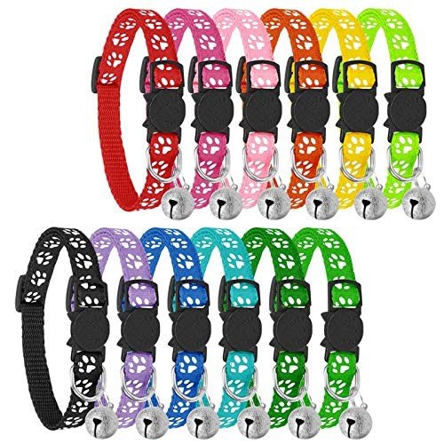 Collars, Harnesses & Leads