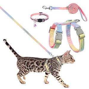 Rainbow Escape-Proof Cat Harness and Leash Set