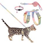 Rainbow Escape-Proof Cat Harness and Leash Set