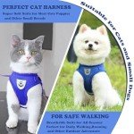 Comfortable No-Pull Cat Harness and Leash Set