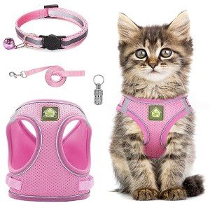 Adjustable Reflective Cat Harness and Leash Set