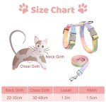 Rainbow Escape-Proof Cat Harness and Leash Set