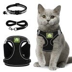 Adjustable Escape Proof Cat Harness and Leash Set