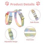 Rainbow Escape-Proof Cat Harness and Leash Set