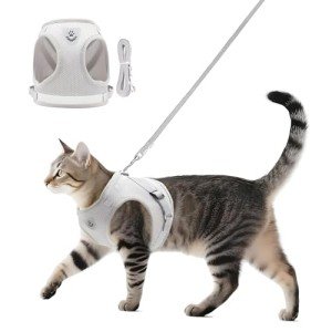 Soft Mesh No Pull Cat Harness and Leash Set