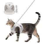 Soft Mesh No-Pull Cat Harness and Leash Set