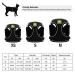 Adjustable Escape Proof Cat Harness and Leash Set
