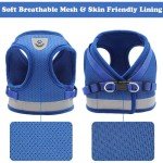 Comfortable No-Pull Cat Harness and Leash Set