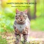Soft Mesh No-Pull Cat Harness and Leash Set