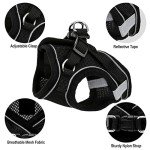Adjustable Escape Proof Cat Harness and Leash Set