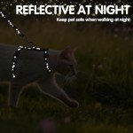 Adjustable Glow-in-the-Dark Cat Harness with Leash