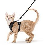Escape Proof Cat Harness and Leash Set, Black