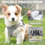 Soft Mesh No-Pull Cat Harness and Leash Set