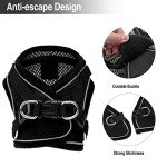 Adjustable Escape Proof Cat Harness and Leash Set