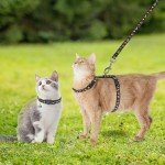Adjustable Glow-in-the-Dark Cat Harness with Leash