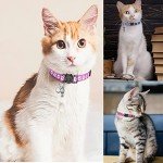 12-Pack Adjustable Reflective Cat Collars with Bells