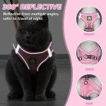 Adjustable Reflective Cat Harness and Leash Set