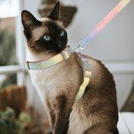 Rainbow Escape-Proof Cat Harness and Leash Set