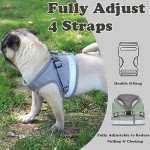 Soft Mesh No-Pull Cat Harness and Leash Set