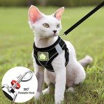 Adjustable Escape Proof Cat Harness and Leash Set