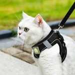 Adjustable Escape Proof Cat Harness and Leash Set