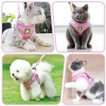 Adjustable Reflective Cat Harness and Leash Set