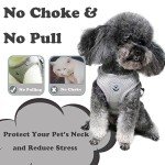 Soft Mesh No-Pull Cat Harness and Leash Set