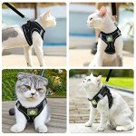 Adjustable Escape Proof Cat Harness and Leash Set