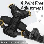 Escape Proof Cat Harness and Leash Set, Black