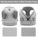 Soft Mesh No-Pull Cat Harness and Leash Set
