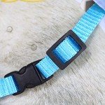 Adjustable Cat Harness and Leash Set, 2 Pack