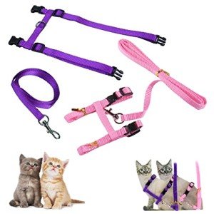 Morices Adjustable Cat Harness and Leash Set