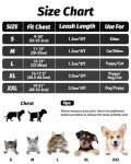 FAYOGOO Adjustable Escape-Proof Cat Harness and Leash