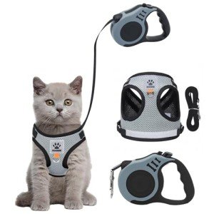 Bindokun Escape Proof Cat Harness and Leash Set