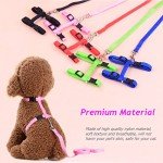 Morices Adjustable Cat Harness and Leash Set