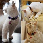 14-Piece Reflective Cat Collar Set with Bells