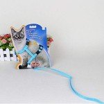 Adjustable Cat Harness and Leash Set, 2 Pack