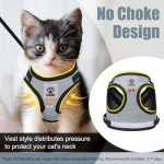 Bindokun Escape Proof Cat Harness and Leash Set