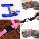 Morices Adjustable Cat Harness and Leash Set