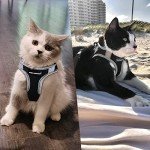 FAYOGOO Adjustable Escape-Proof Cat Harness and Leash